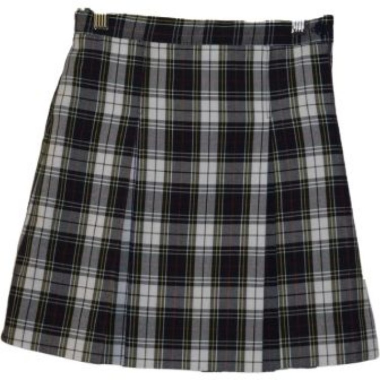Picture of Plaid 2-Pleat Skirt (v1)