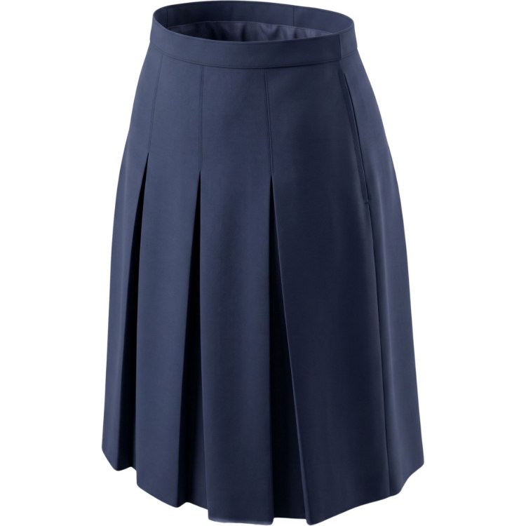Picture of Navy Box Pleats Reg Skirt